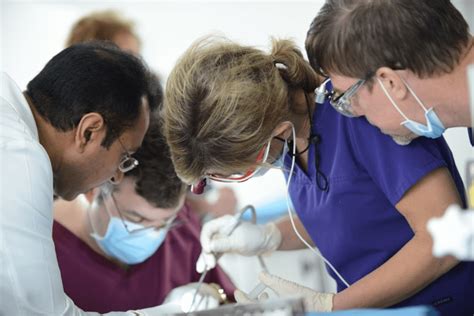 14 Best Dental Implant Courses .